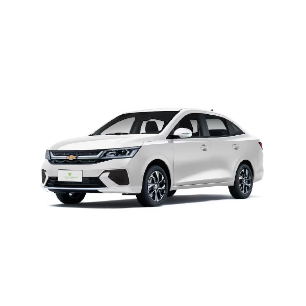 1 Chevrolet Aveo-100 (2)